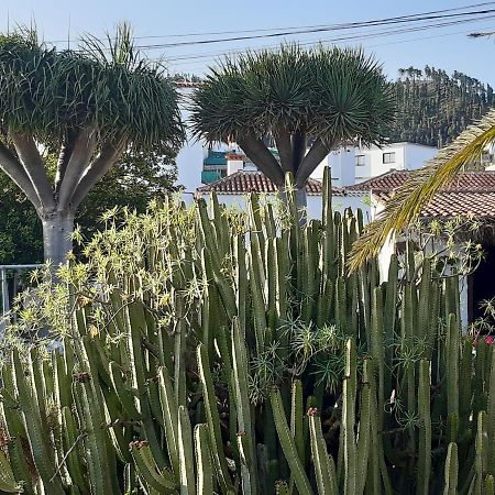 Casa Rural Los Dragos Fuencaliente de la Palma Εξωτερικό φωτογραφία