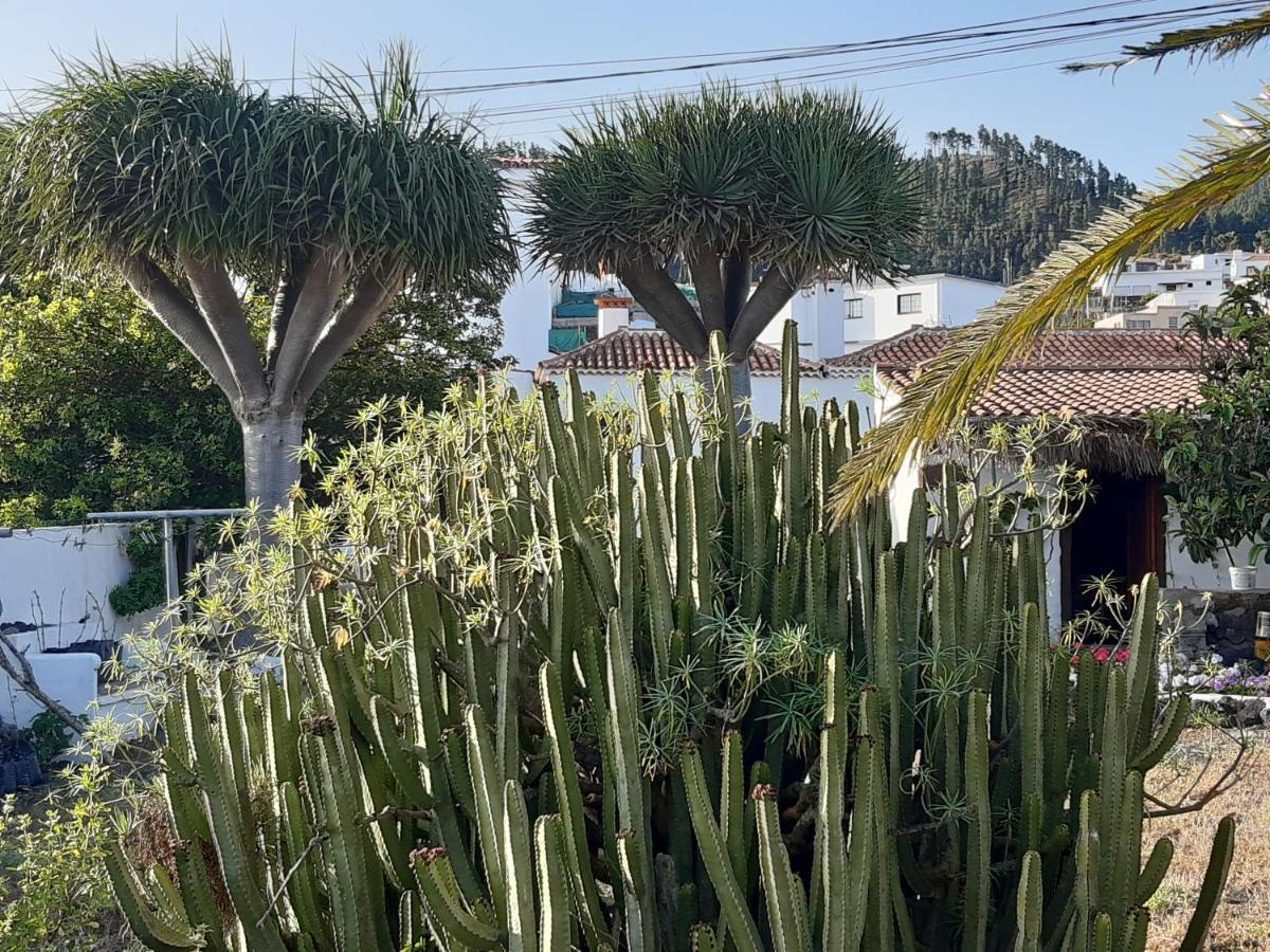 Casa Rural Los Dragos Fuencaliente de la Palma Εξωτερικό φωτογραφία